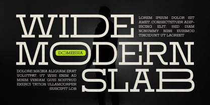 Domesia Font Poster 2