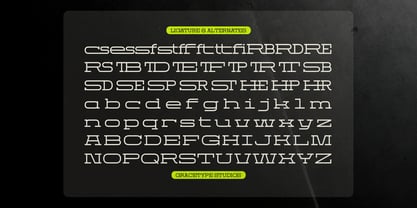 Domesia Font Poster 12