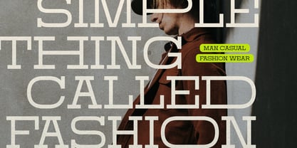 Domesia Font Poster 4