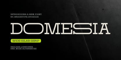 Domesia Font Poster 1
