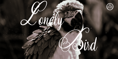 Silkora Font Poster 5