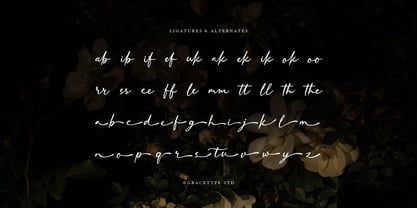 Dekalea Font Poster 12
