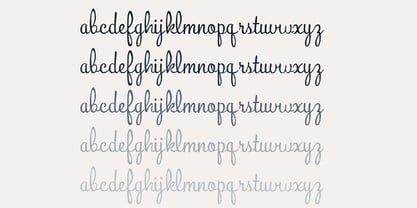 PN Bunchberry Font Poster 3