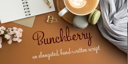 PN Bunchberry Font Poster 1
