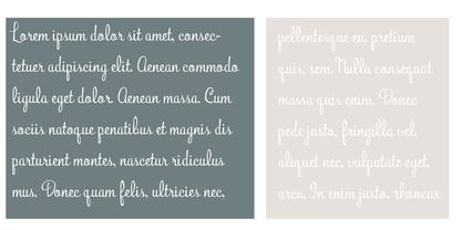 PN Bunchberry Font Poster 5