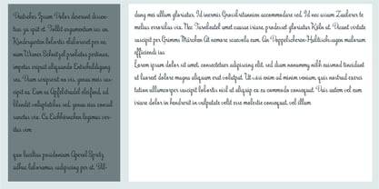 PN Bunchberry Font Poster 4