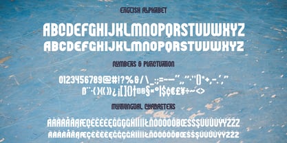 Skatehood Font Poster 3