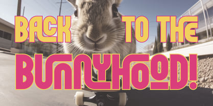 Skatehood Font Poster 2