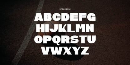 Veone Font Poster 2