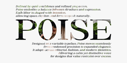 Astorina Font Poster 5