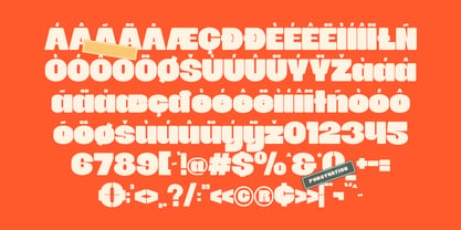 Shagie Boogie Font Poster 10