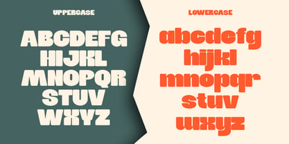 Shagie Boogie Font Poster 3