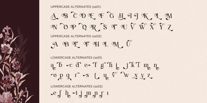 Lovely Paradise Font Poster 11