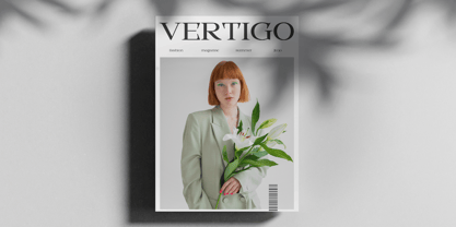 Picabro Font Poster 6