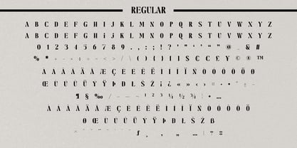 Fox Nuggie Font Poster 9