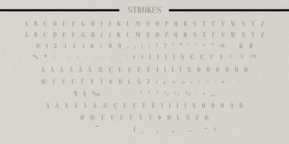 Fox Nuggie Font Poster 10