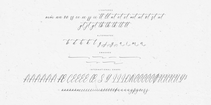 Andrea Carter Font Poster 8