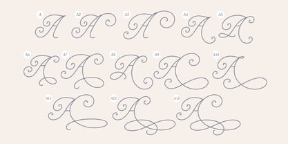 Amonetta Font Poster 12