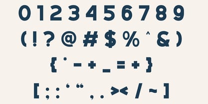 Vernina Font Poster 7