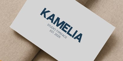 Vernina Font Poster 3