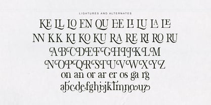 The Stripes Editorial Font Poster 12