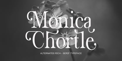The Stripes Editorial Font Poster 8