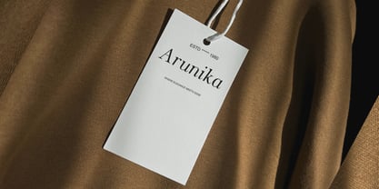 The Stripes Editorial Font Poster 10