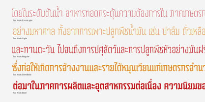 Tod Krob Font Poster 3