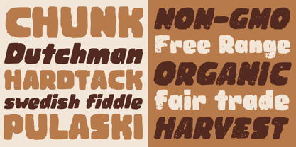 Woodchip Font Poster 3