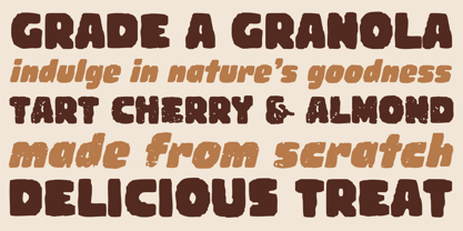 Woodchip Font Poster 5