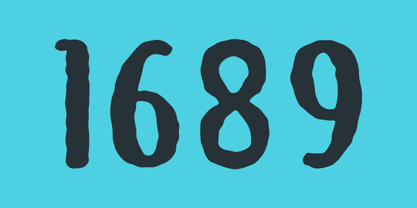 Brushpen Font Poster 5