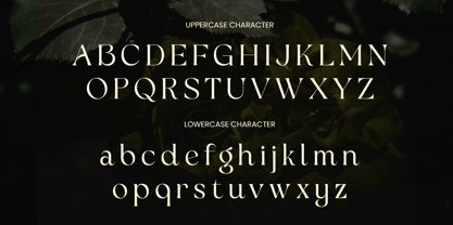 Bulgaria Font Poster 10
