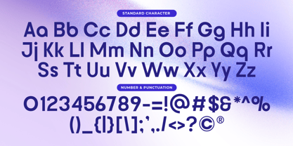Boundex Font Poster 9