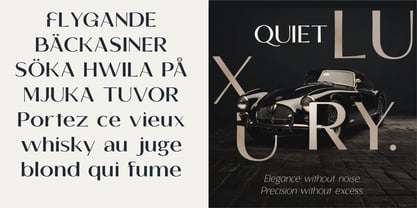 Tellur Sans Font Poster 3