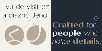 Tellur Sans Font Poster 4