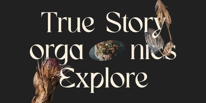 Melagu Font Poster 5