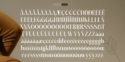 Rushy Font Poster 13