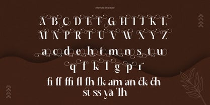 Rushy Font Poster 12