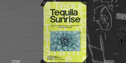 Trigue Sans Font Poster 9