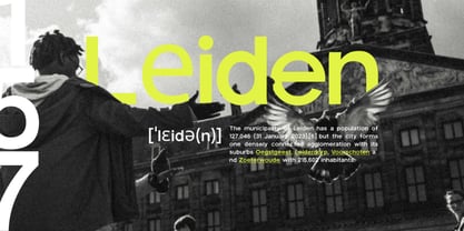 Trigue Sans Font Poster 6