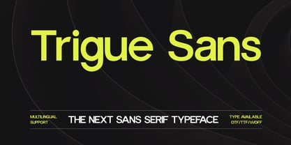 Trigue Sans Font Poster 1