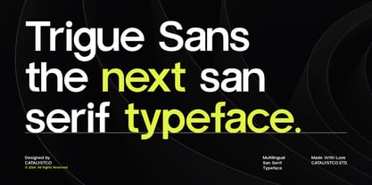 Trigue Sans Font Poster 2