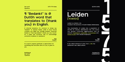 Trigue Sans Font Poster 7