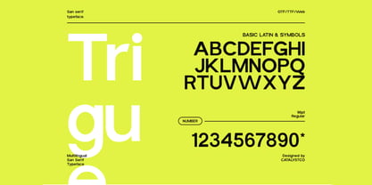 Trigue Sans Font Poster 3