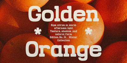 Grado Block Font Poster 4