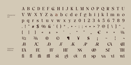 Picktea Font Poster 11