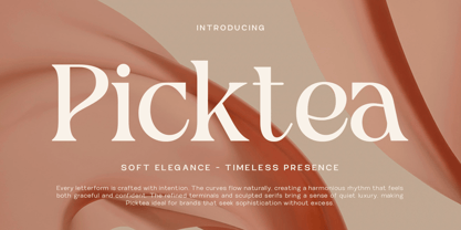 Picktea Font Poster 1