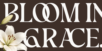 Picktea Font Poster 9