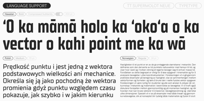 TT Supermolot Neue Font Poster 8