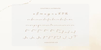 Haniquta Font Poster 12
